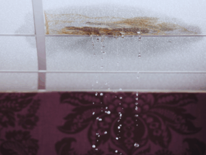 Ceiling leak caused by plumbing issue