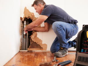 Plumbing inspecting leak inside walls