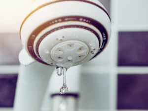 Dripping showerhead