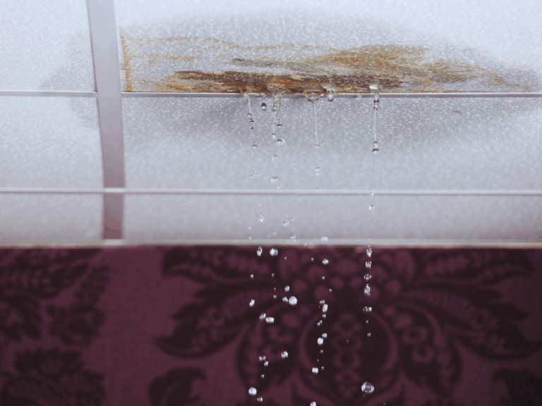 7 Most Common Water Leaks in a House Apollo Plumbing