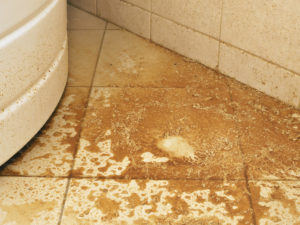 Water damage to floor due to toilet leak
